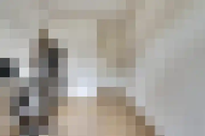 Korenbloemdreef 35 Harderwijk thumbnail 23