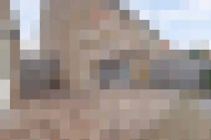 Korenbloemdreef 35 Harderwijk thumbnail 28