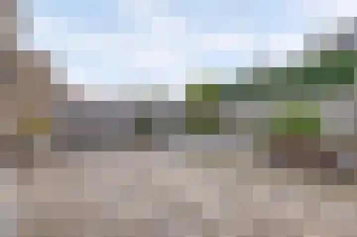 Korenbloemdreef 35 Harderwijk thumbnail 29