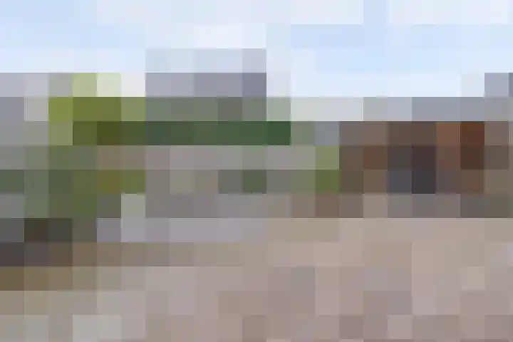 Korenbloemdreef 35 Harderwijk thumbnail 30