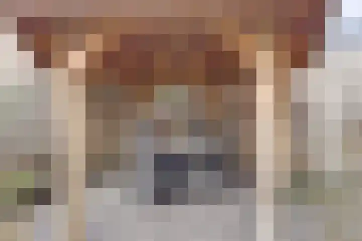 Korenbloemdreef 35 Harderwijk thumbnail 31