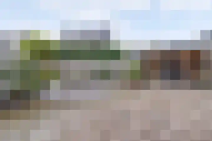 Korenbloemdreef 35 Harderwijk thumbnail 4