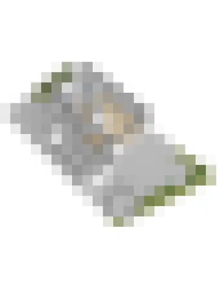 Korenbloemdreef 35 Harderwijk thumbnail 43
