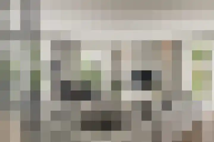 Korenbloemdreef 53 Harderwijk thumbnail 10