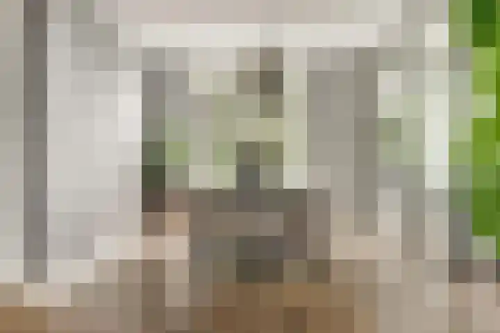 Korenbloemdreef 53 Harderwijk thumbnail 12
