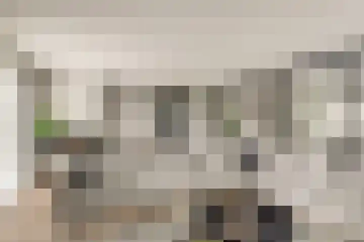 Korenbloemdreef 53 Harderwijk thumbnail 14