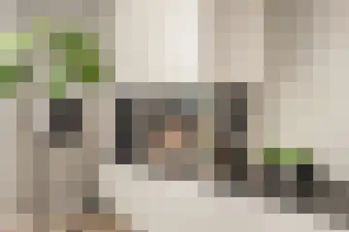 Korenbloemdreef 53 Harderwijk thumbnail 15