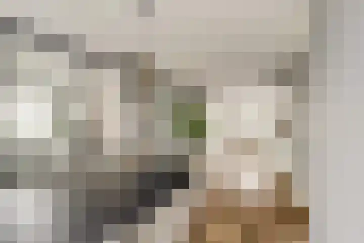 Korenbloemdreef 53 Harderwijk thumbnail 16