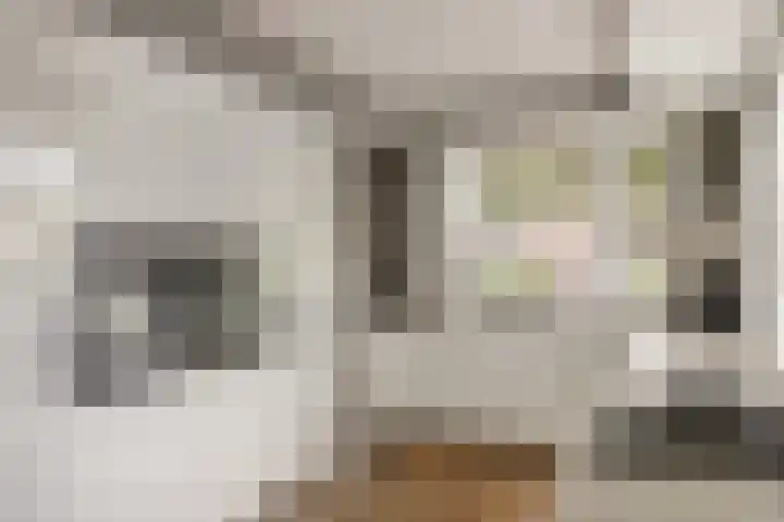 Korenbloemdreef 53 Harderwijk thumbnail 18