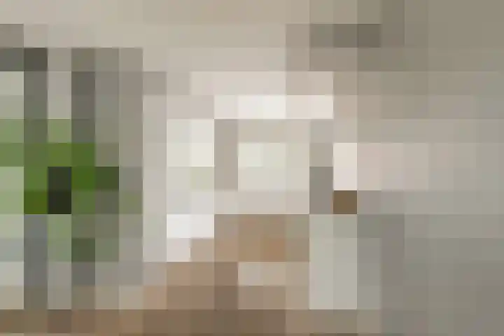 Korenbloemdreef 53 Harderwijk thumbnail 19