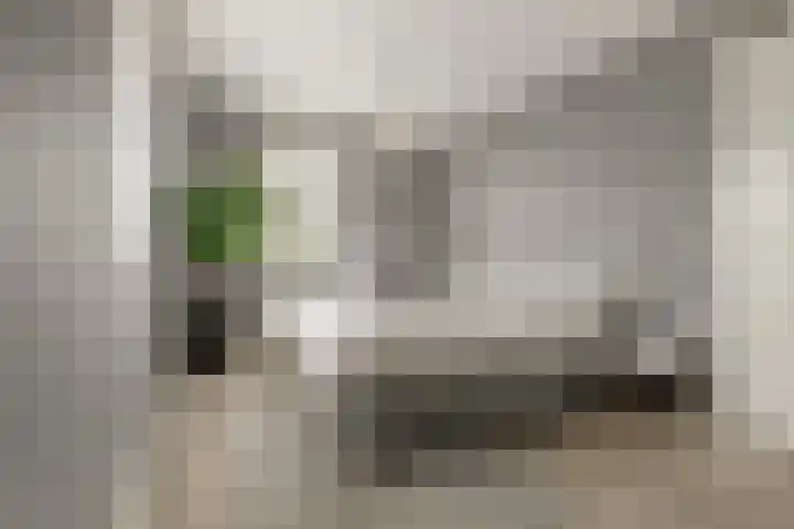 Korenbloemdreef 53 Harderwijk thumbnail 25