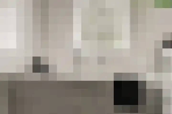 Korenbloemdreef 53 Harderwijk thumbnail 29