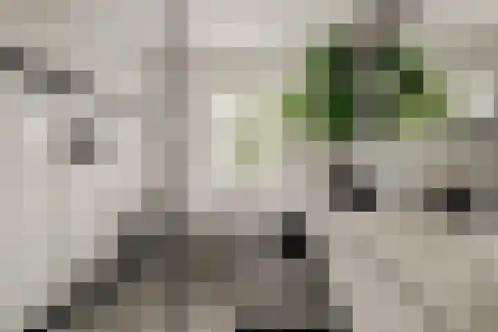 Korenbloemdreef 53 Harderwijk thumbnail 30