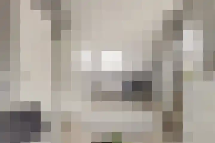 Korenbloemdreef 53 Harderwijk thumbnail 32