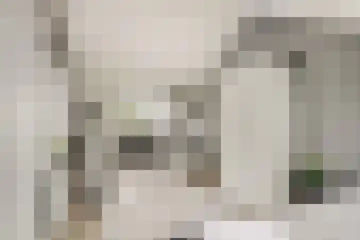 Korenbloemdreef 53 Harderwijk thumbnail 33