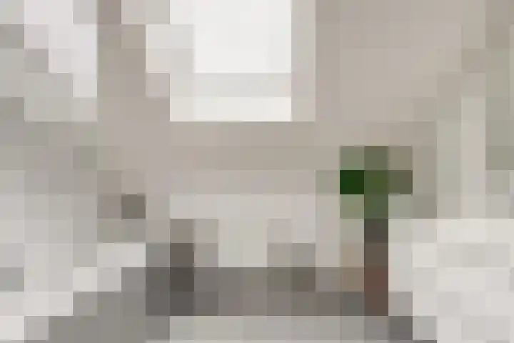Korenbloemdreef 53 Harderwijk thumbnail 34