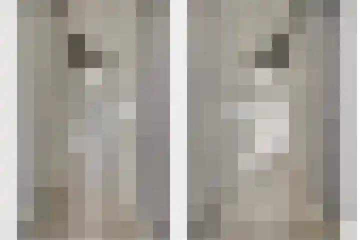 Korenbloemdreef 53 Harderwijk thumbnail 37