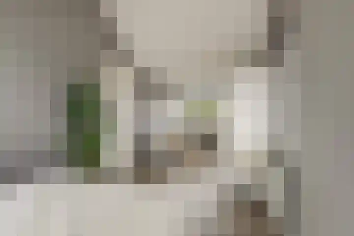 Korenbloemdreef 53 Harderwijk thumbnail 39