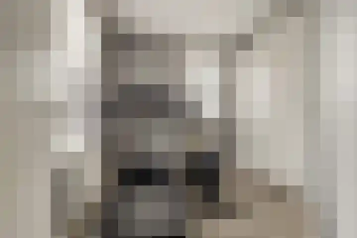Korenbloemdreef 53 Harderwijk thumbnail 40