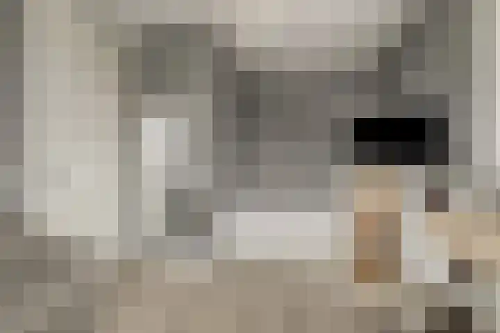 Korenbloemdreef 53 Harderwijk thumbnail 41