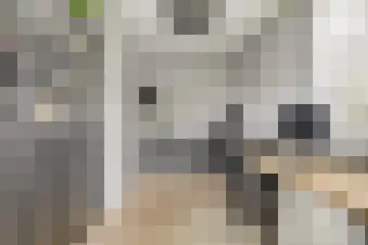 Korenbloemdreef 53 Harderwijk thumbnail 42