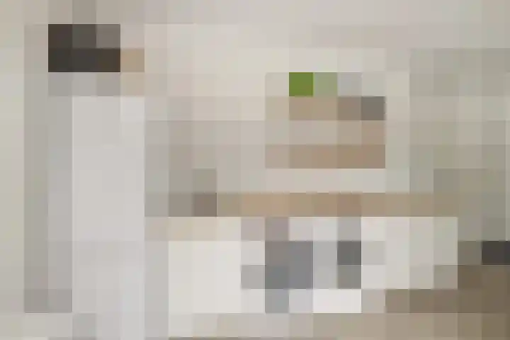 Korenbloemdreef 53 Harderwijk thumbnail 46