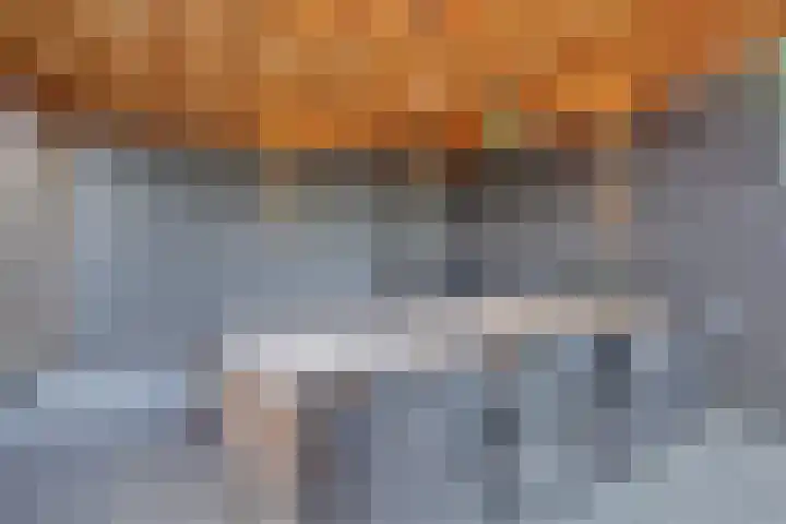 Korenbloemdreef 53 Harderwijk thumbnail 49