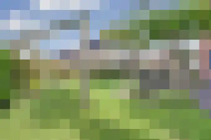 Korenbloemdreef 53 Harderwijk thumbnail 53
