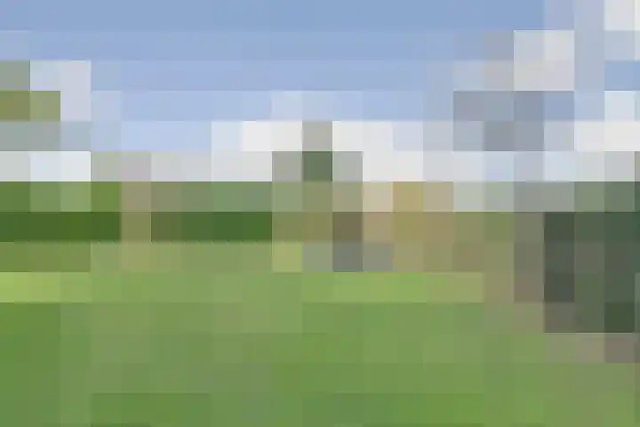 Korenbloemdreef 53 Harderwijk thumbnail 55