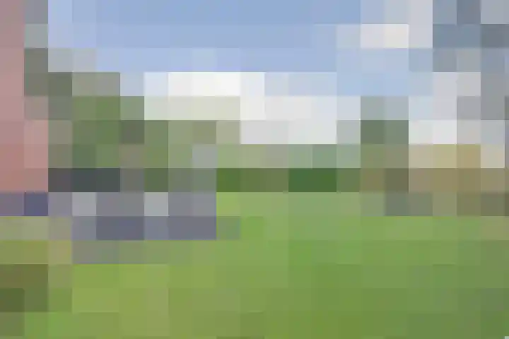Korenbloemdreef 53 Harderwijk thumbnail 56