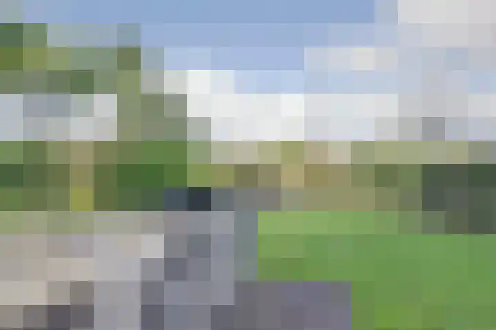 Korenbloemdreef 53 Harderwijk thumbnail 57