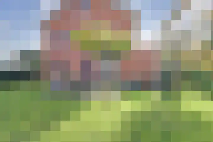 Korenbloemdreef 53 Harderwijk thumbnail 58