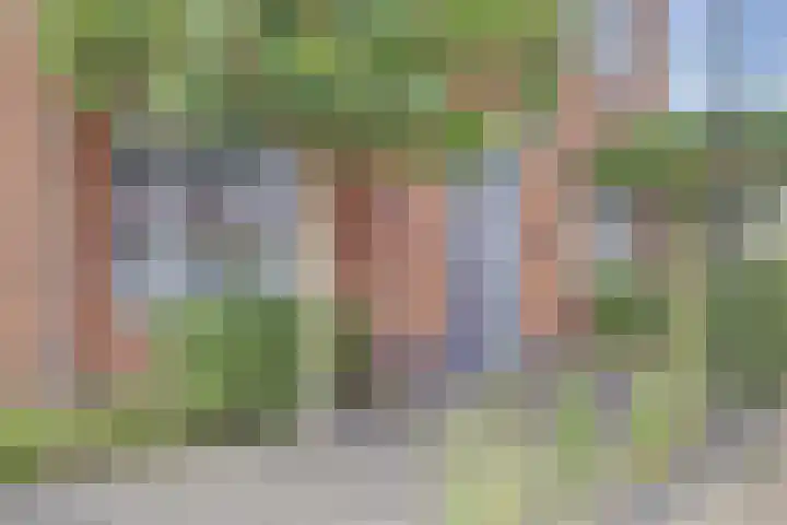 Korenbloemdreef 53 Harderwijk thumbnail 6
