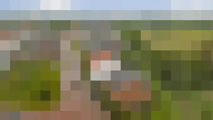 Korenbloemdreef 53 Harderwijk thumbnail 62