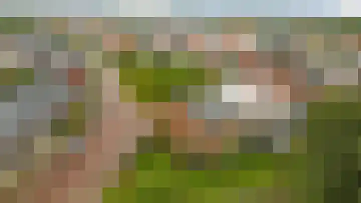 Korenbloemdreef 53 Harderwijk thumbnail 64