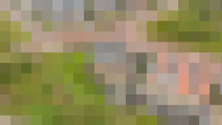 Korenbloemdreef 53 Harderwijk thumbnail 65