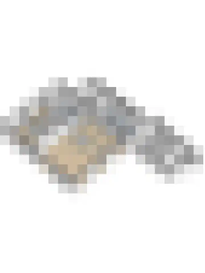Korenbloemdreef 53 Harderwijk thumbnail 67