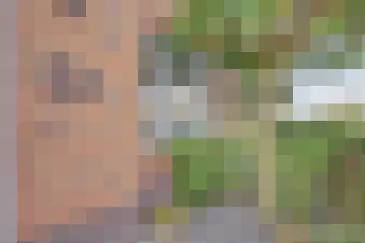 Korenbloemdreef 53 Harderwijk thumbnail 7