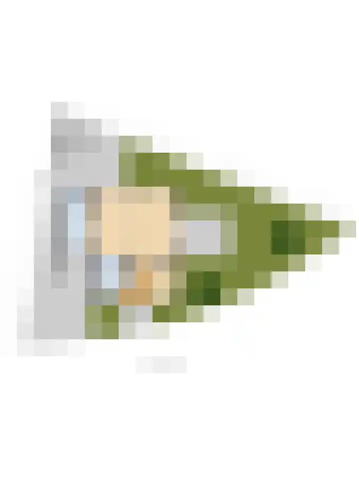 Korenbloemdreef 53 Harderwijk thumbnail 72