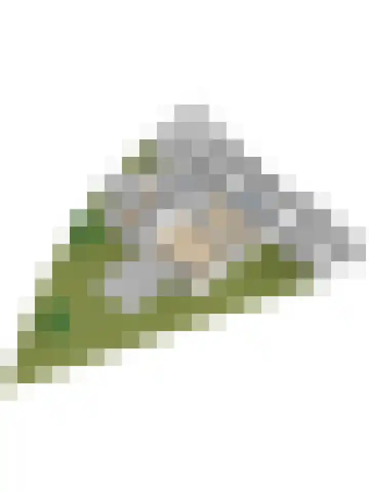Korenbloemdreef 53 Harderwijk thumbnail 73