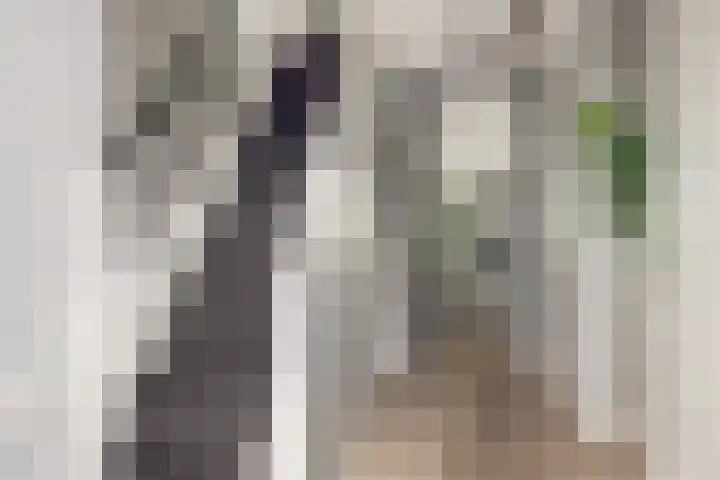 Korenbloemdreef 53 Harderwijk thumbnail 8
