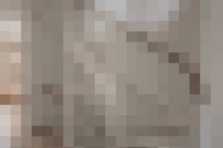 Korenbloemdreef 6 Harderwijk thumbnail 18