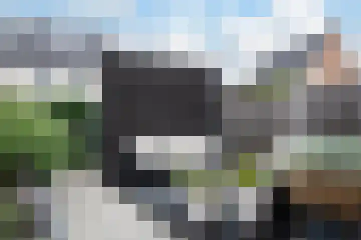 Korenbloemdreef 6 Harderwijk thumbnail 21