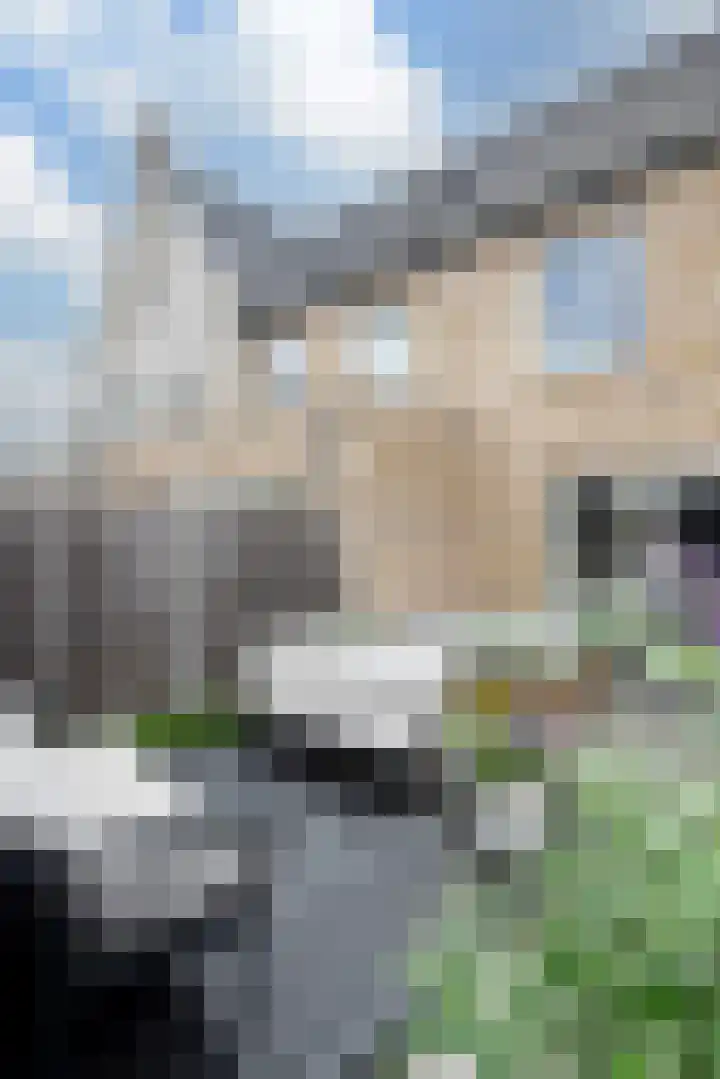 Korenbloemdreef 6 Harderwijk thumbnail 23