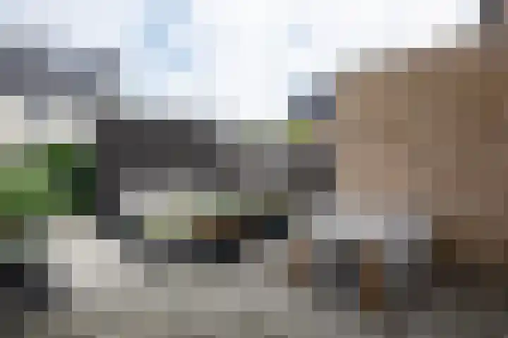 Korenbloemdreef 6 Harderwijk thumbnail 24