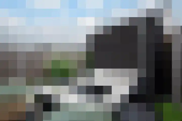 Korenbloemdreef 6 Harderwijk thumbnail 25