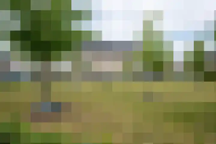 Korenbloemdreef 6 Harderwijk thumbnail 26