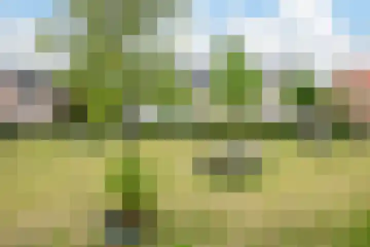 Korenbloemdreef 6 Harderwijk thumbnail 27