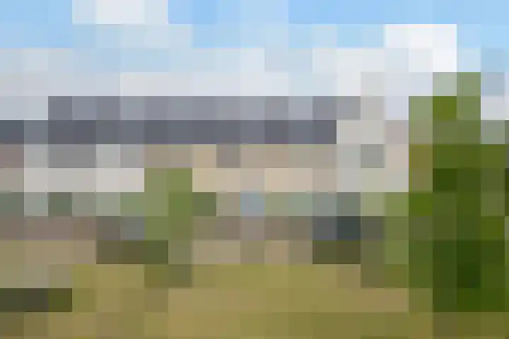 Korenbloemdreef 6 Harderwijk thumbnail 28