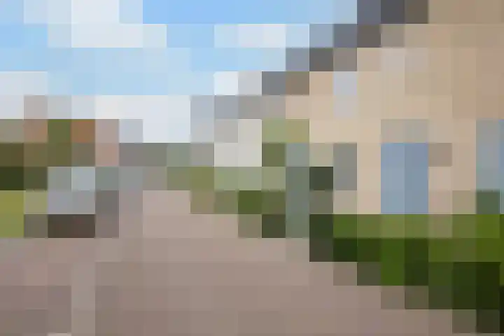 Korenbloemdreef 6 Harderwijk thumbnail 4